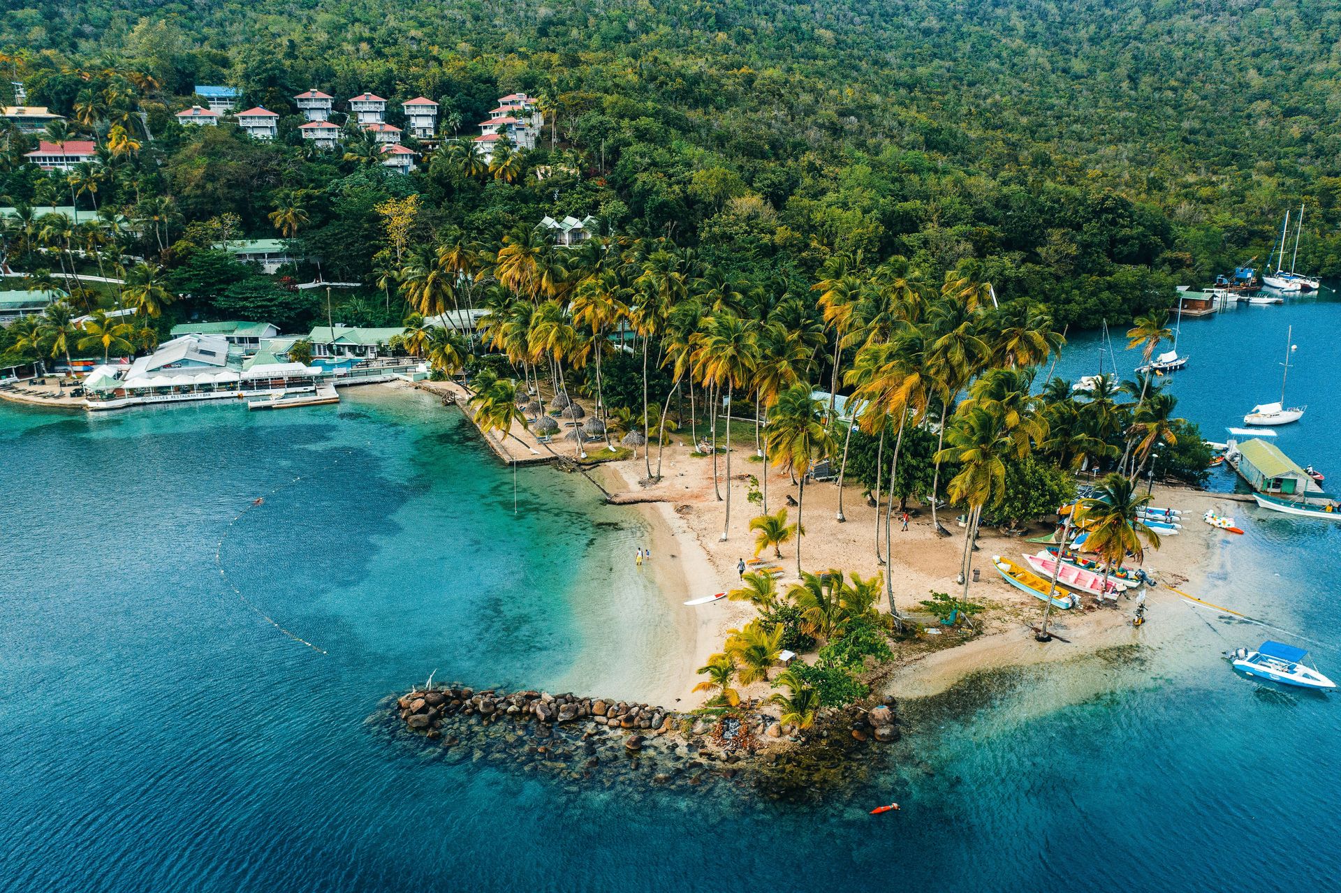 Caribbean